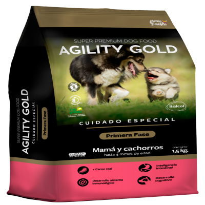 Agility Gold Primera Fase